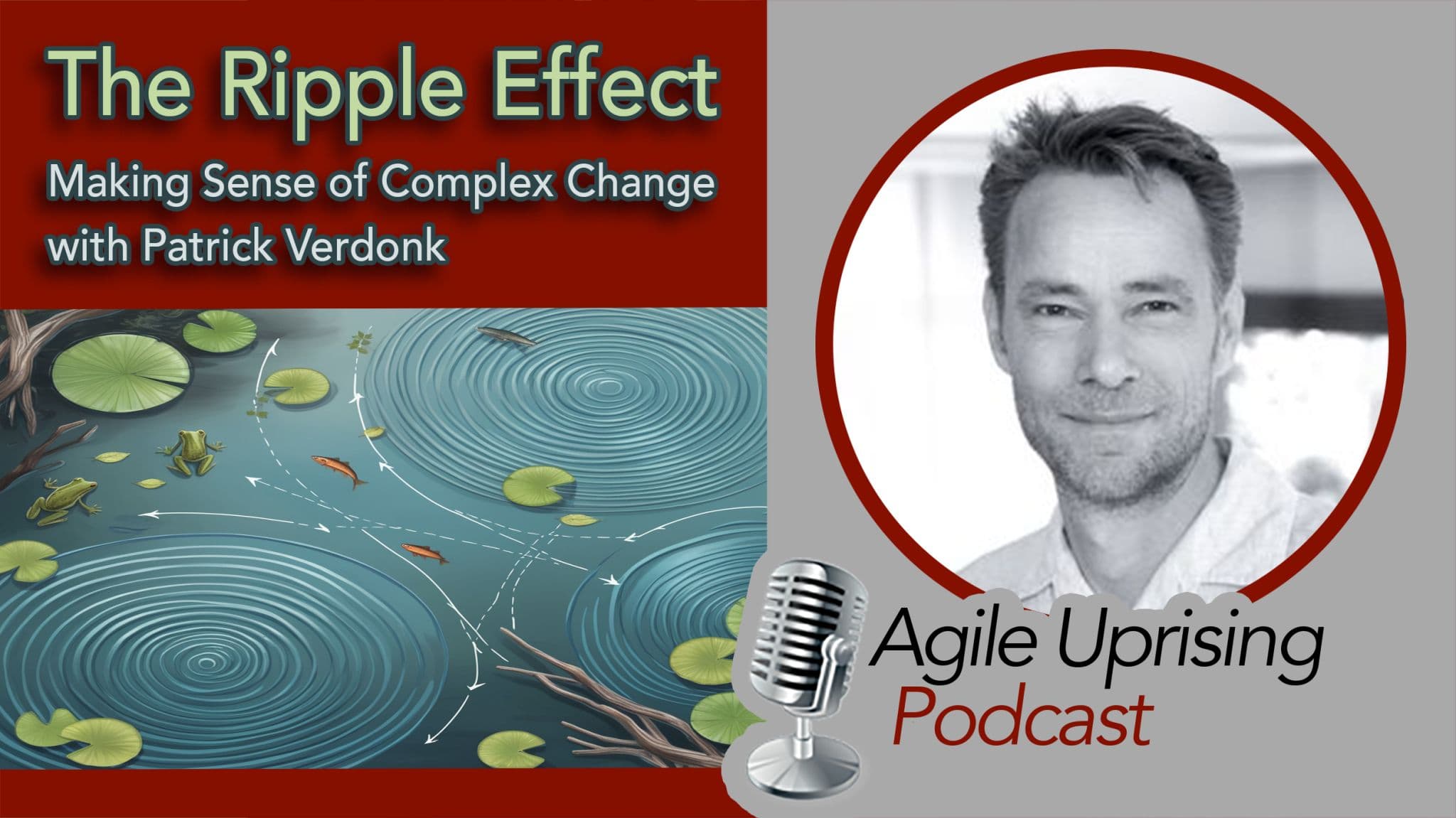 The Ripple Effect: Making Sense of Complex Change with Patrick Verdonk